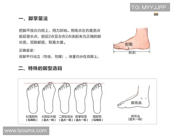 赛后分析上海羽毛球队与广州羽毛球队技术对抗的深度剖析与启示
